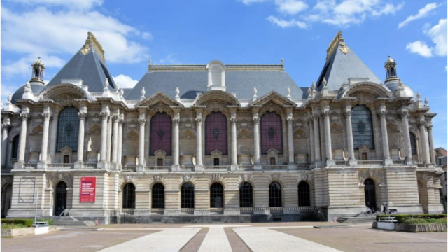 ATRIUM Palais Beaux-Arts  - Dévoiement des eaux pluviales toitures - VILLE DE LILLE