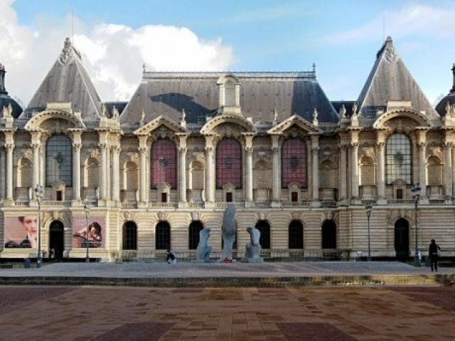 ATRIUM Palais Beaux-Arts - Assistance/Etudes Techniques réaménagement - VILLE DE LILLE